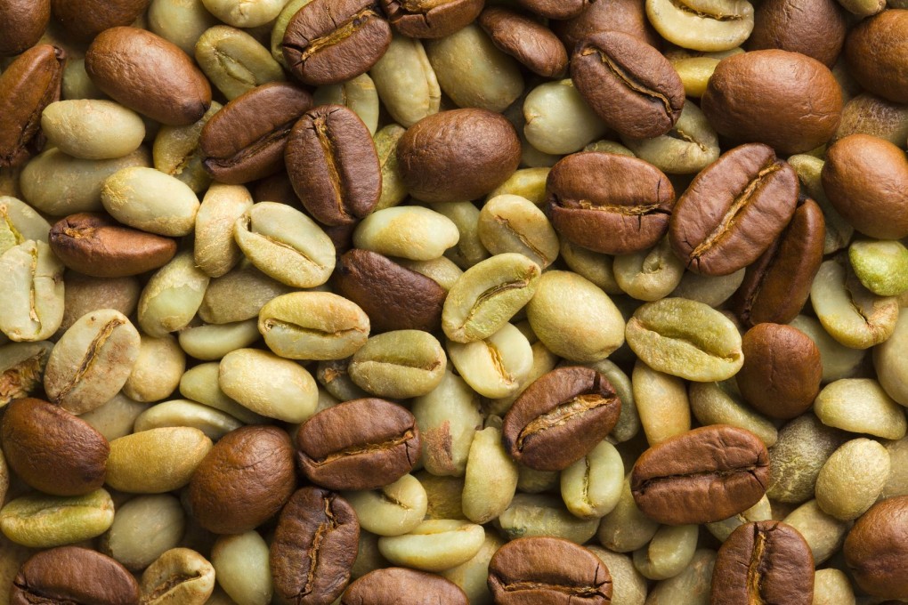 A closeup of ripe coffee beans